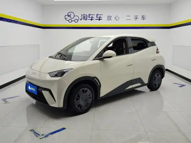 BYD Seagull