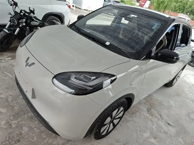 Wuling Bingo