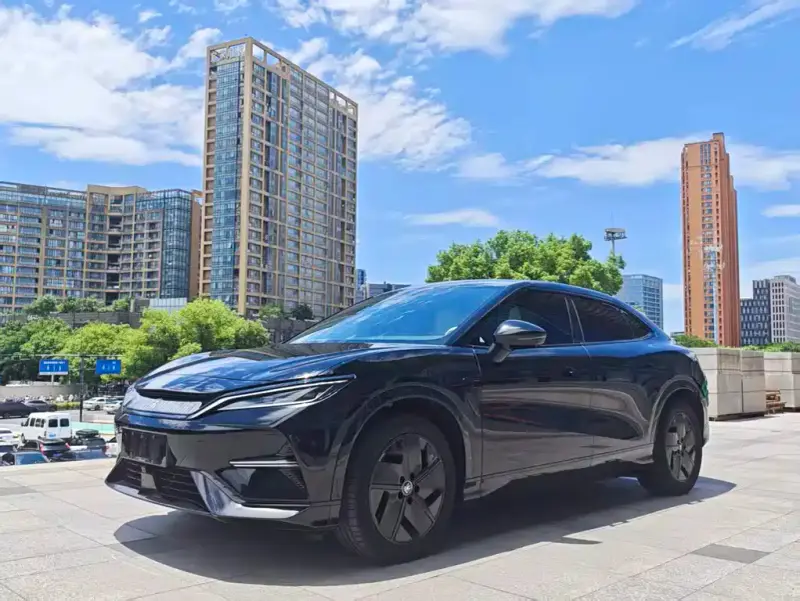 BYD L EV