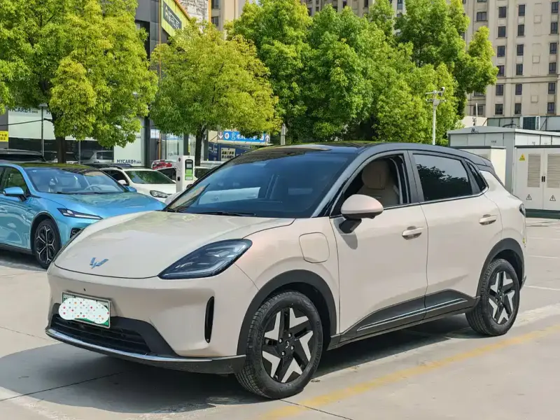 Wuling Bingo S