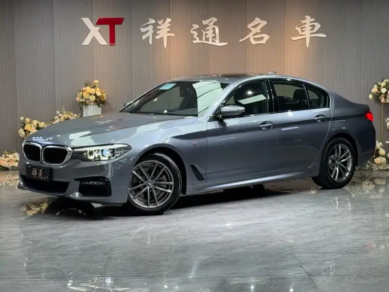 BMW 5 Series (Import)