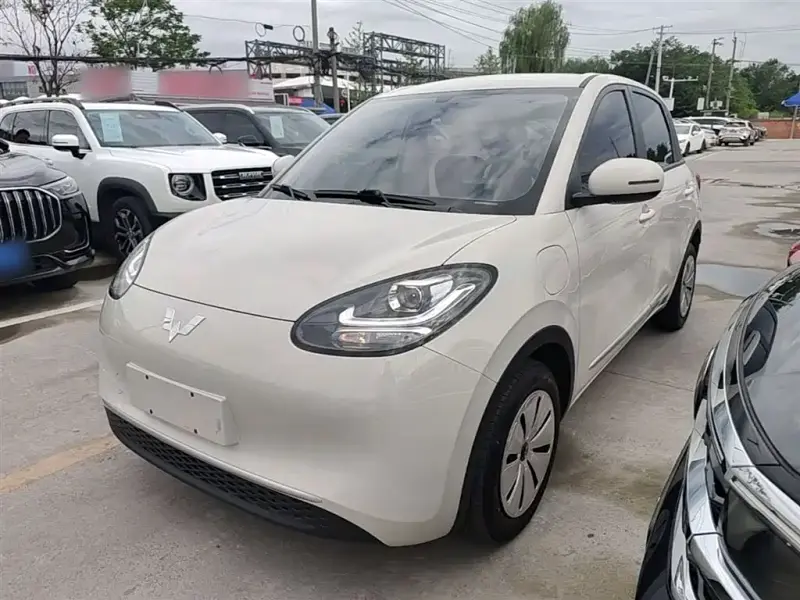 Wuling Bingo