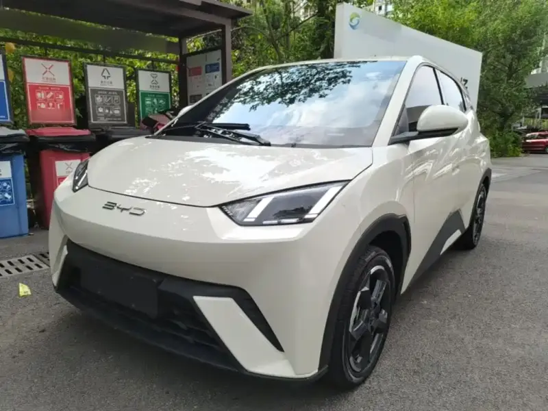 BYD Seagull