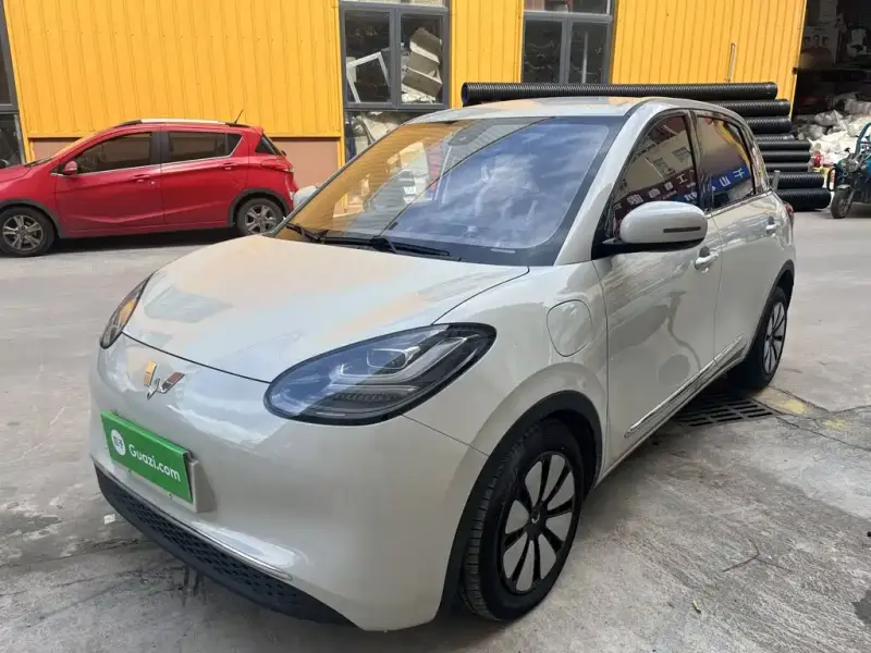 Wuling Bingo