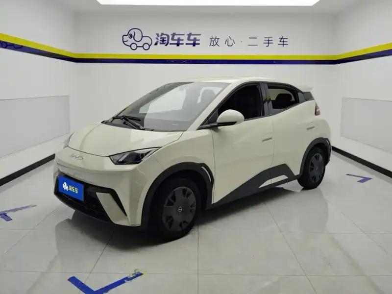 BYD Seagull