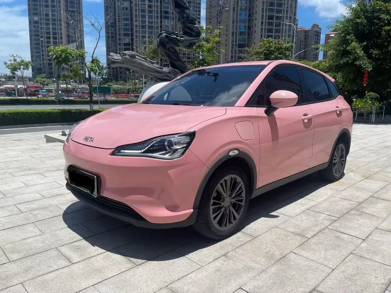Neta V