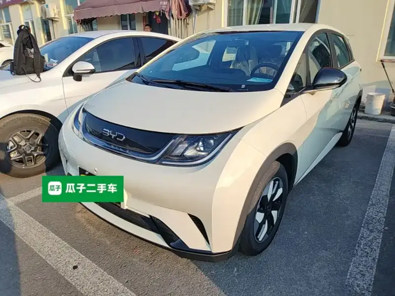 BYD Dolphin