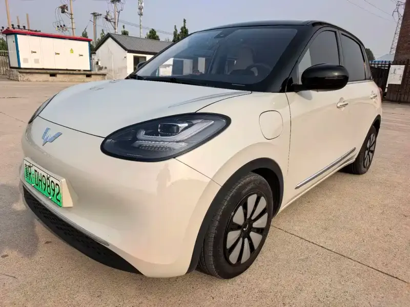 Wuling Bingo