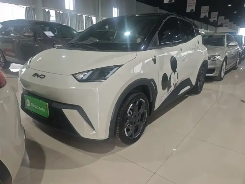 BYD Seagull