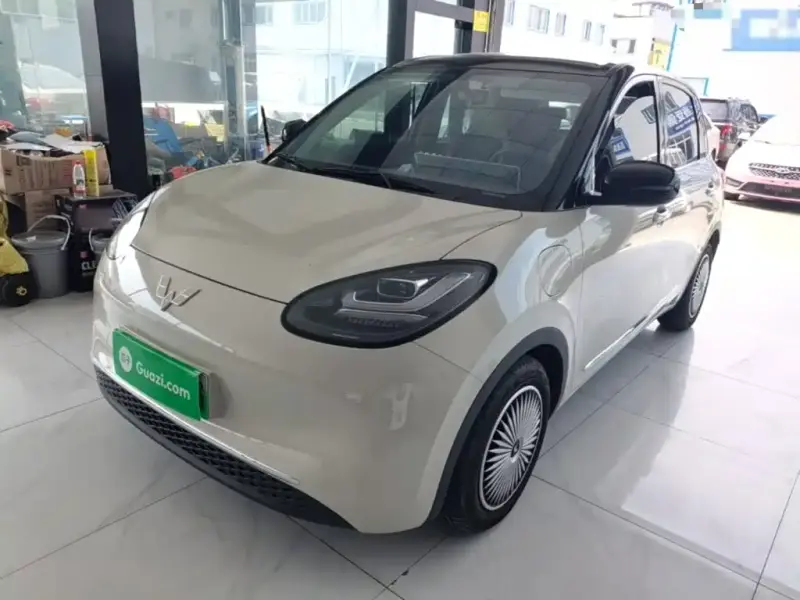 Wuling Bingo