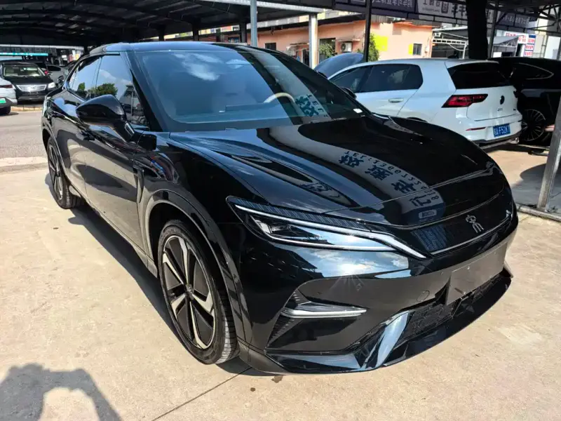 BYD L EV