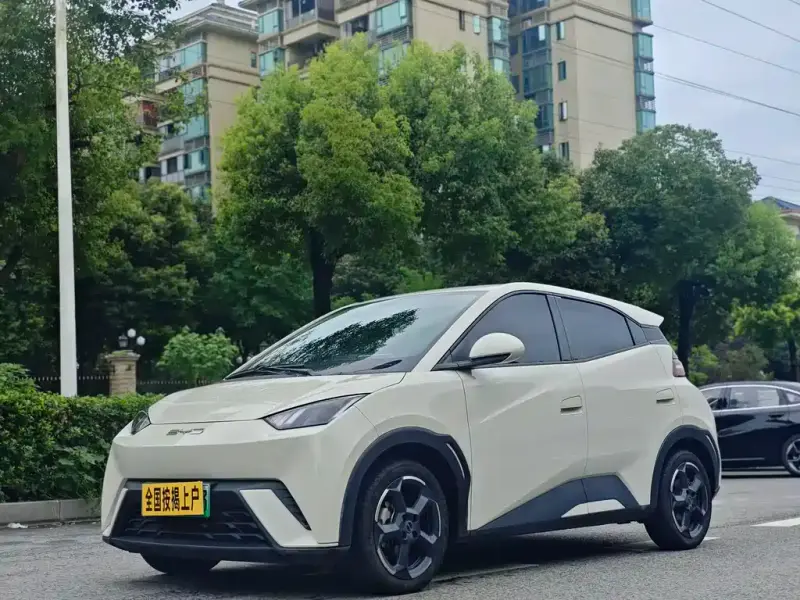 BYD Seagull