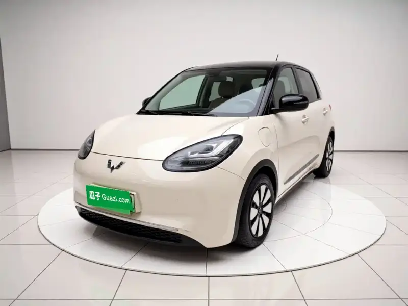 Wuling Bingo