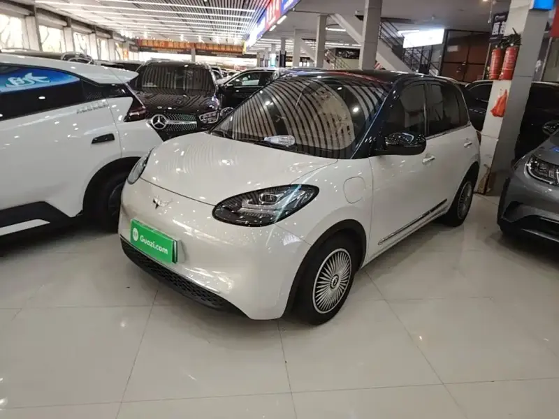 Wuling Bingo