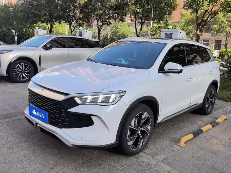 BYD Pro New Energy