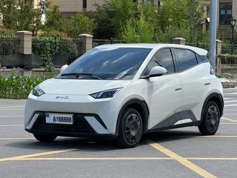 BYD Seagull