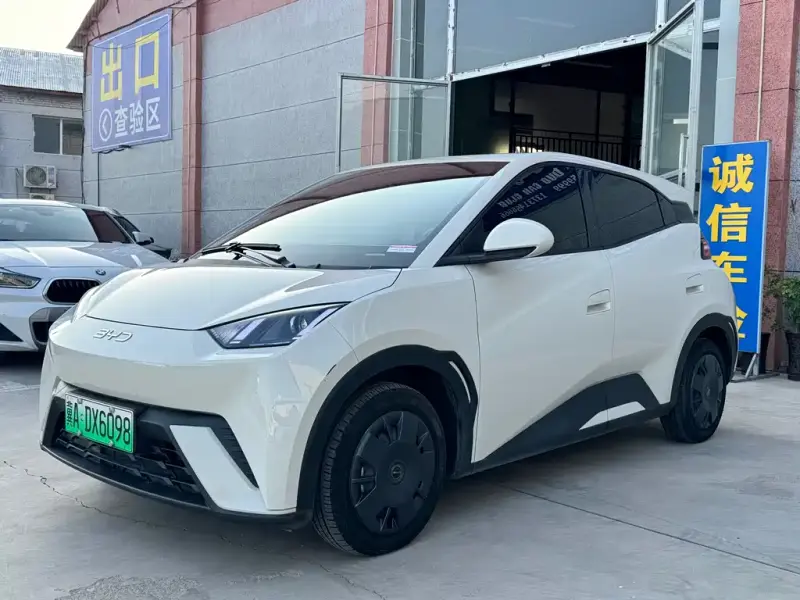 BYD Seagull