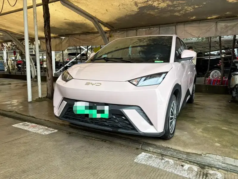 BYD Seagull