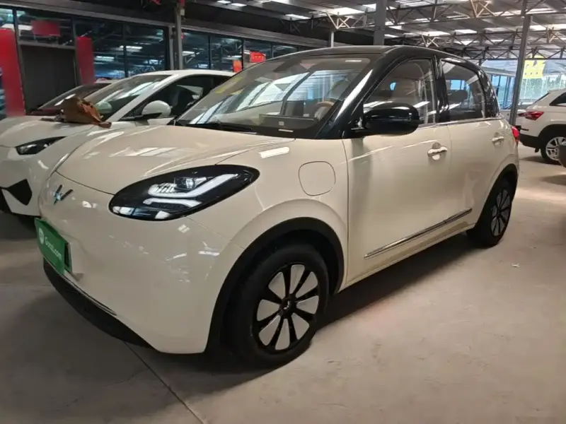 Wuling Bingo