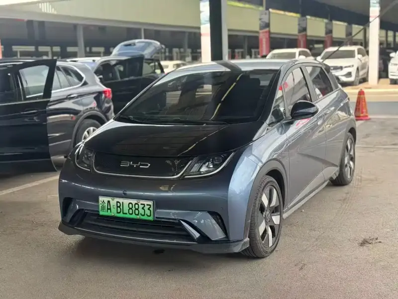 BYD Dolphin