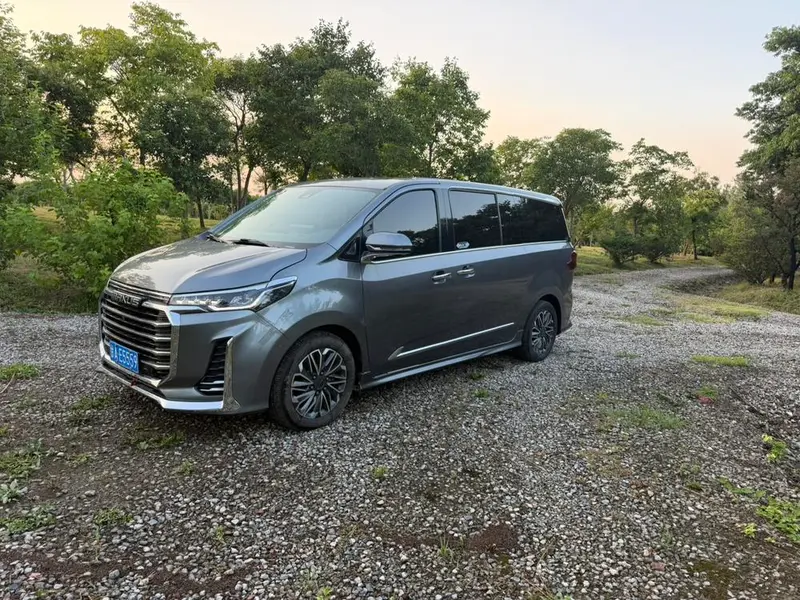 Maxus G20