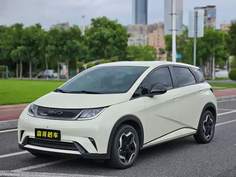 BYD Dolphin