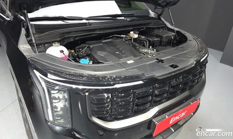 Kia Carnival (Canival)