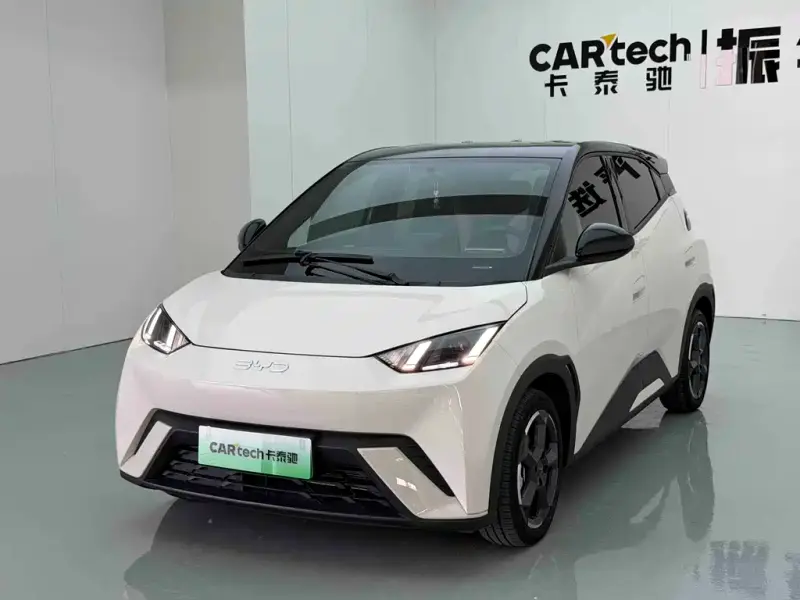 BYD Seagull