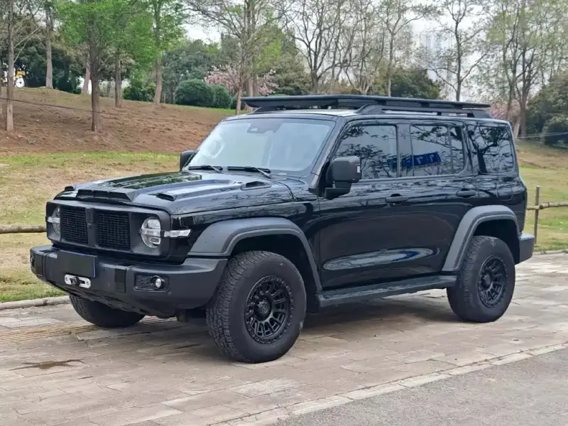 Tank 300