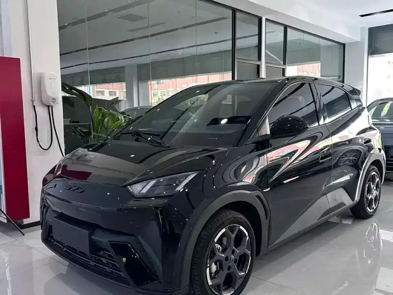BYD Seagull
