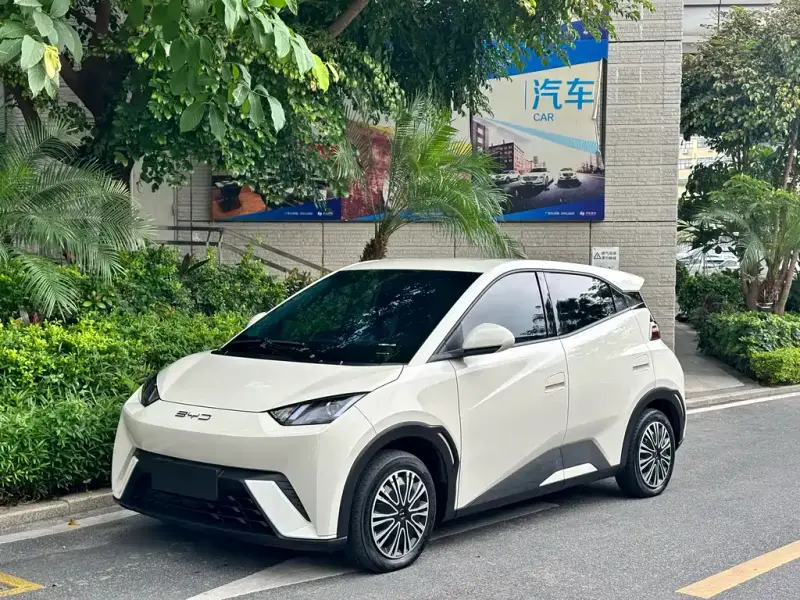 BYD Seagull