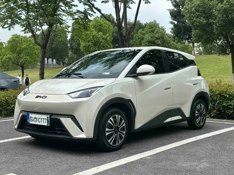 BYD Seagull
