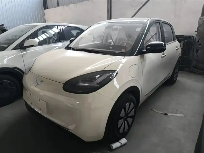 Wuling Bingo