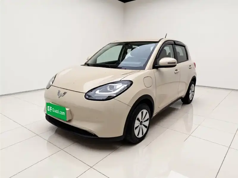 Wuling Bingo