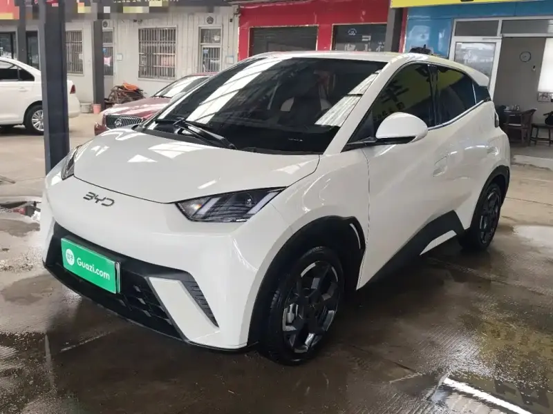 BYD Seagull