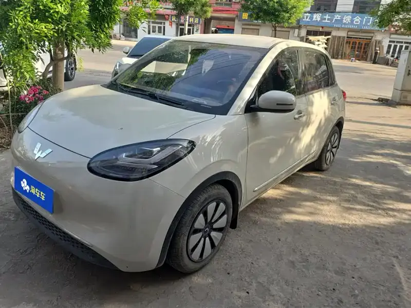 Wuling Bingo