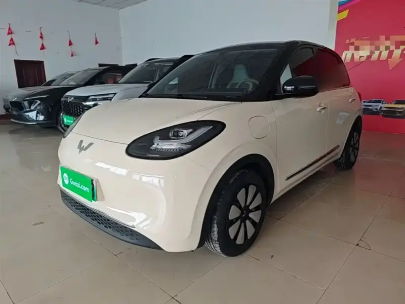 Wuling Bingo