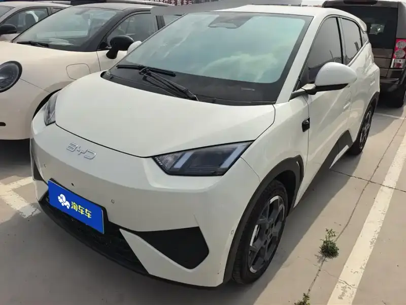 BYD Seagull