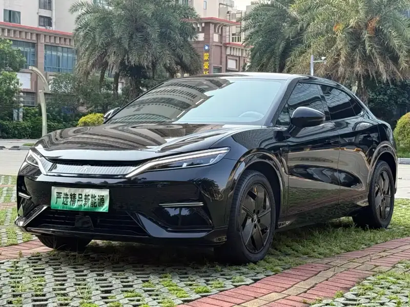 BYD L EV