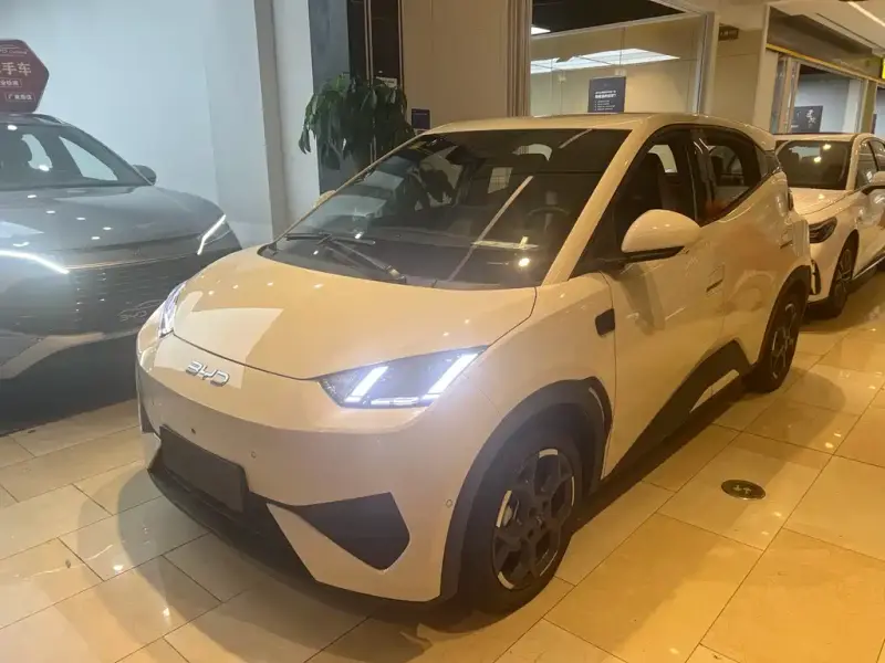 BYD Seagull