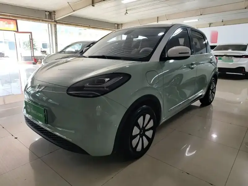 Wuling Bingo