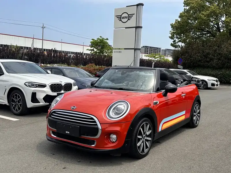 MINI Mini