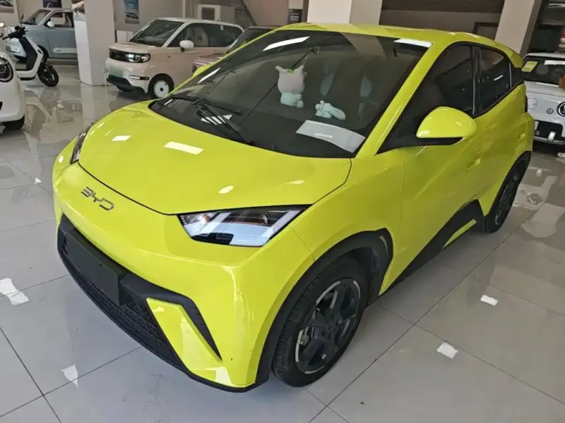 BYD Seagull