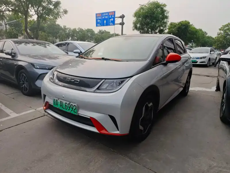 BYD Dolphin