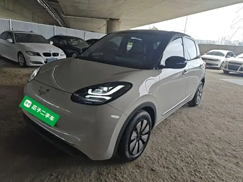 Wuling Bingo
