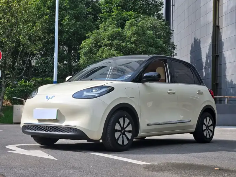 Wuling Bingo