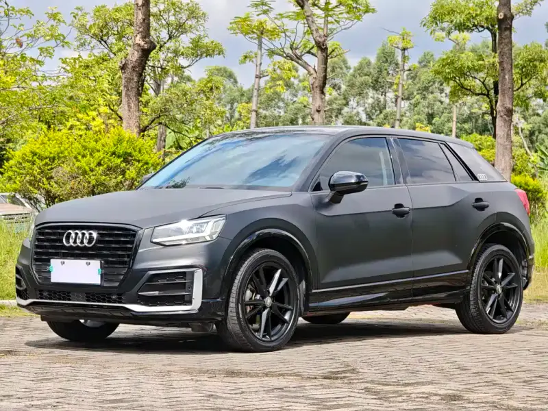 Audi Q2L