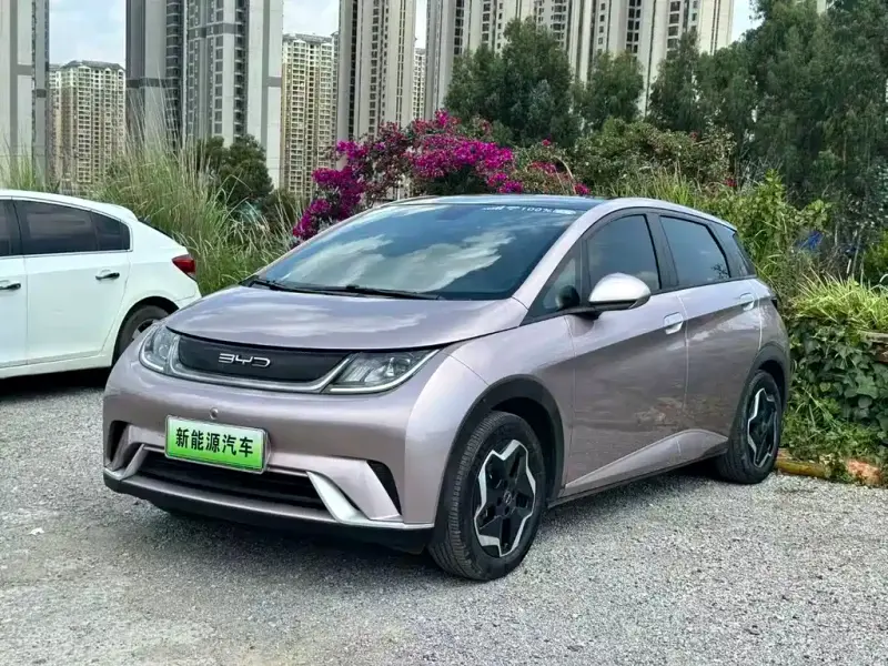 BYD Dolphin