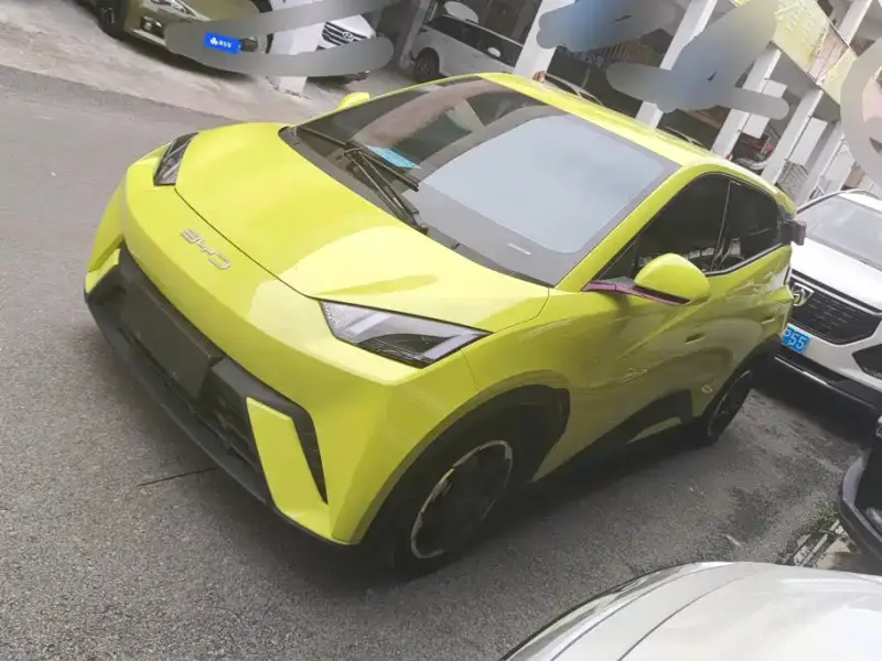BYD Seagull