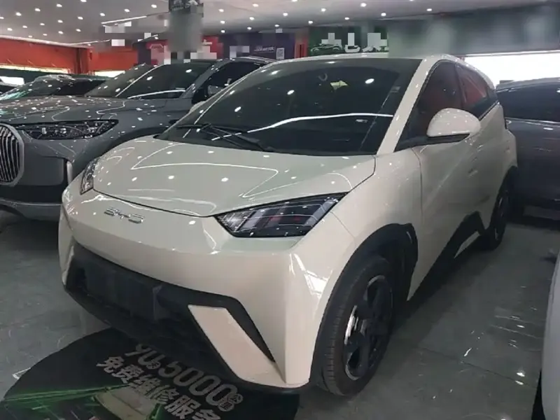 BYD Seagull